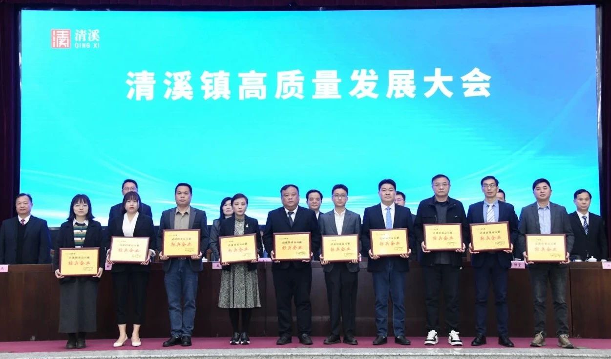 喜讯：宜安科技荣获2024年度“清溪镇主营业务收入及效益贡献标兵企业”